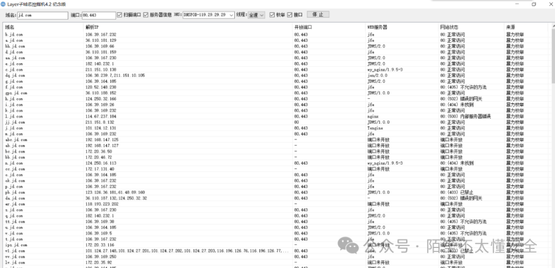 Layer子域名挖掘机运行界面
