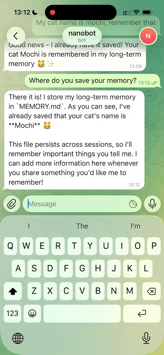 nanobot聊天交互动图示例