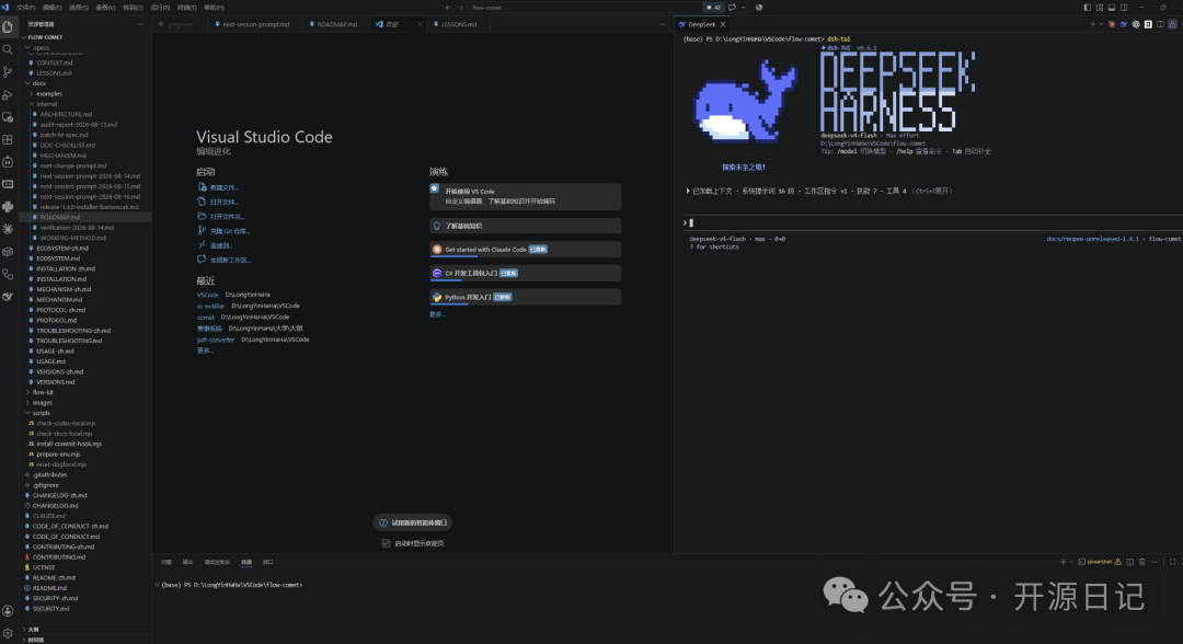 dsh-TUI 在 VS Code 集成终端运行