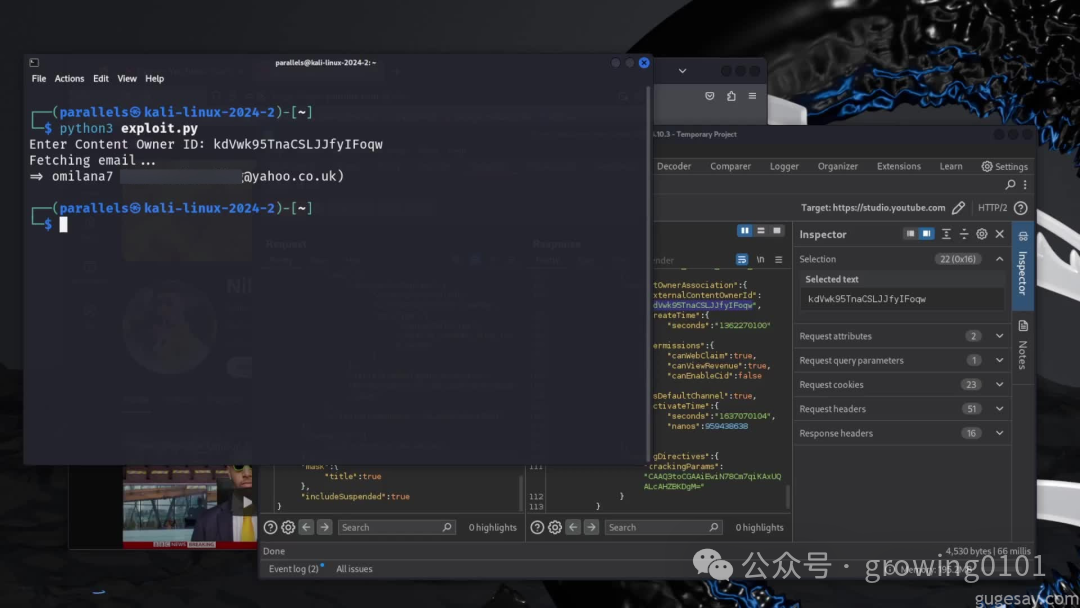 YouTube API安全测试环境截图