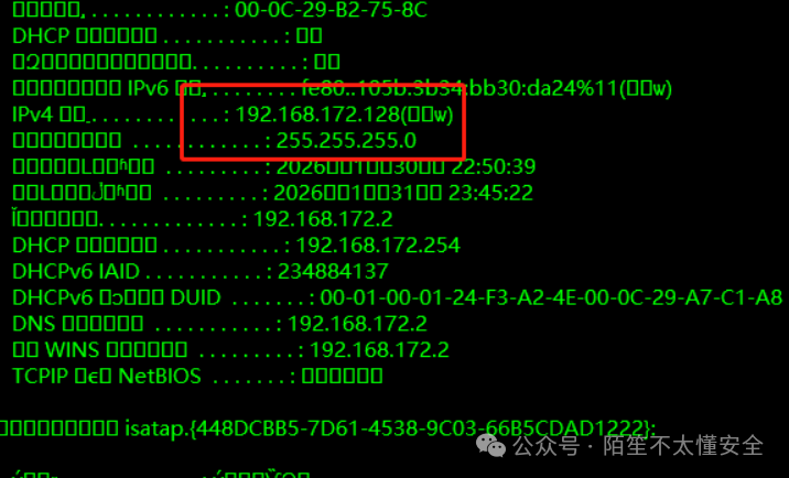 ipconfig输出：IPv4地址192.168.172.128与192.168.52.128并存