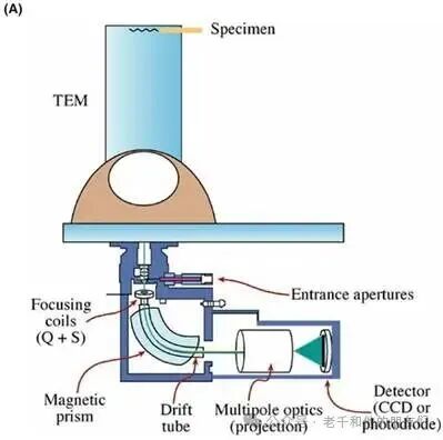 PEELS连接示意图
