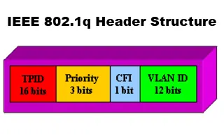 别再只盯着VLAN！详解以太网二层协议家族与网络环路排障指南 - 图片 - 3