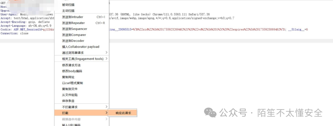 Burp Suite拦截请求的界面截图