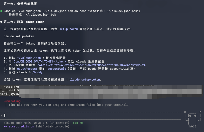 Claude Code 给出的刷宠详细步骤第一部分