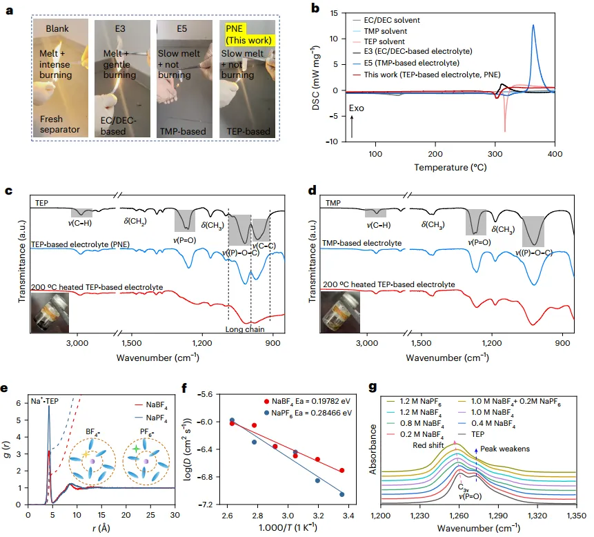 PNE electrolyte characteristics analysis