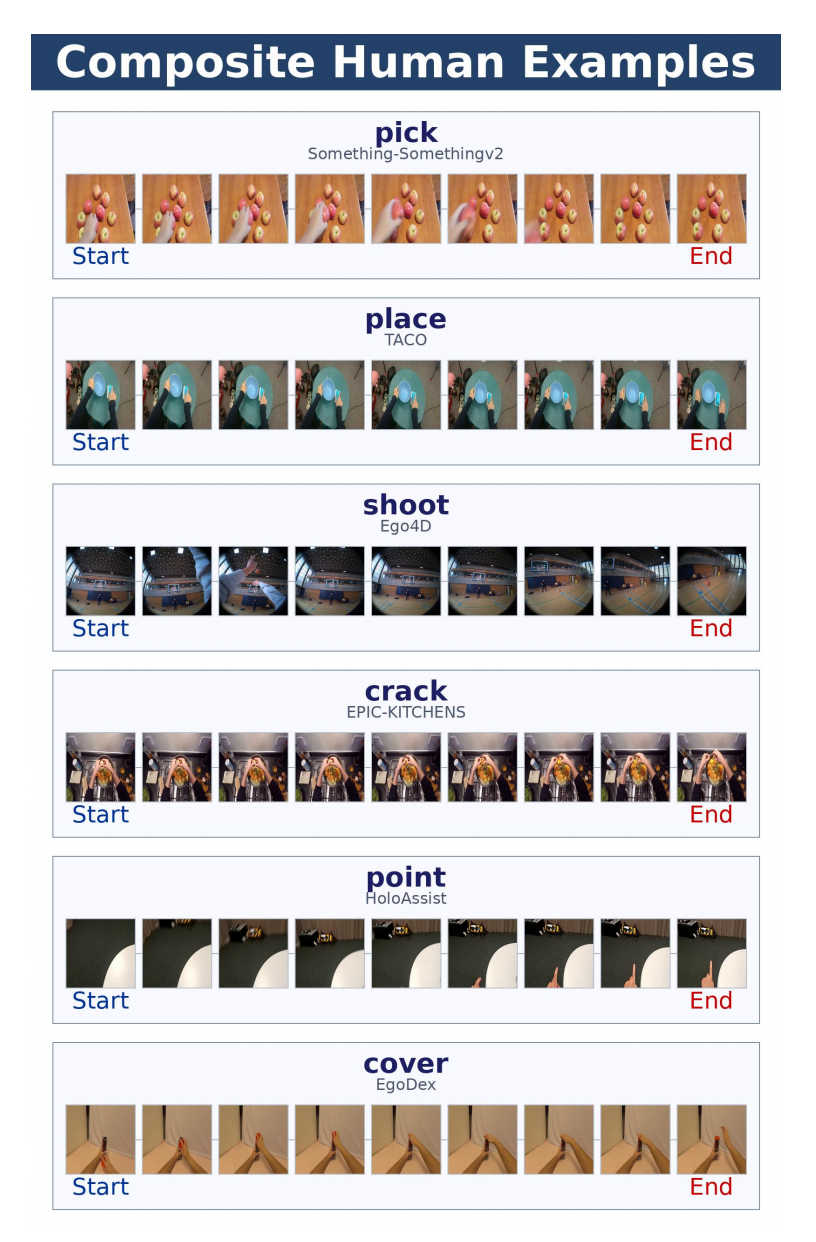复合人类动作示例