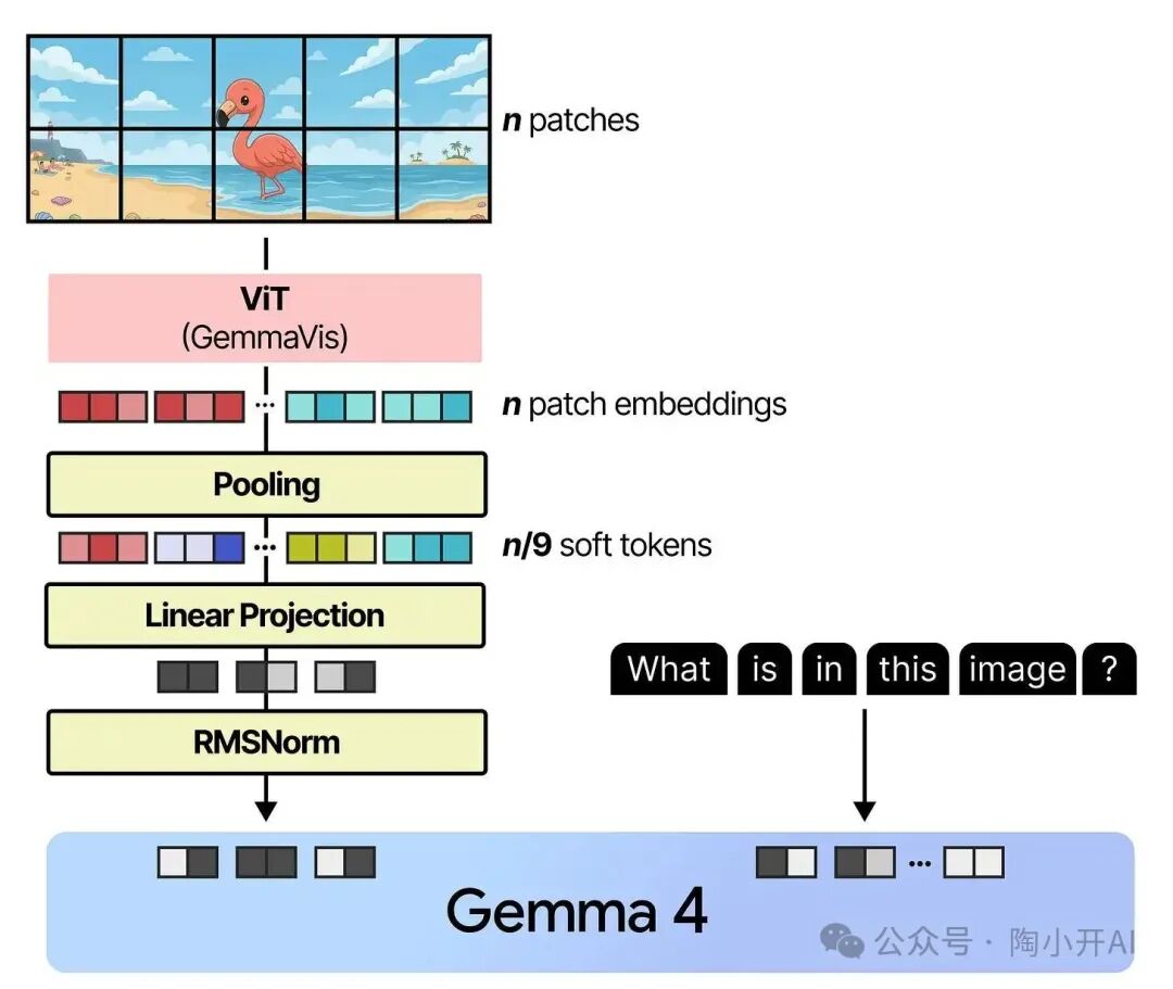 图像嵌入线性投影与处理流程图
