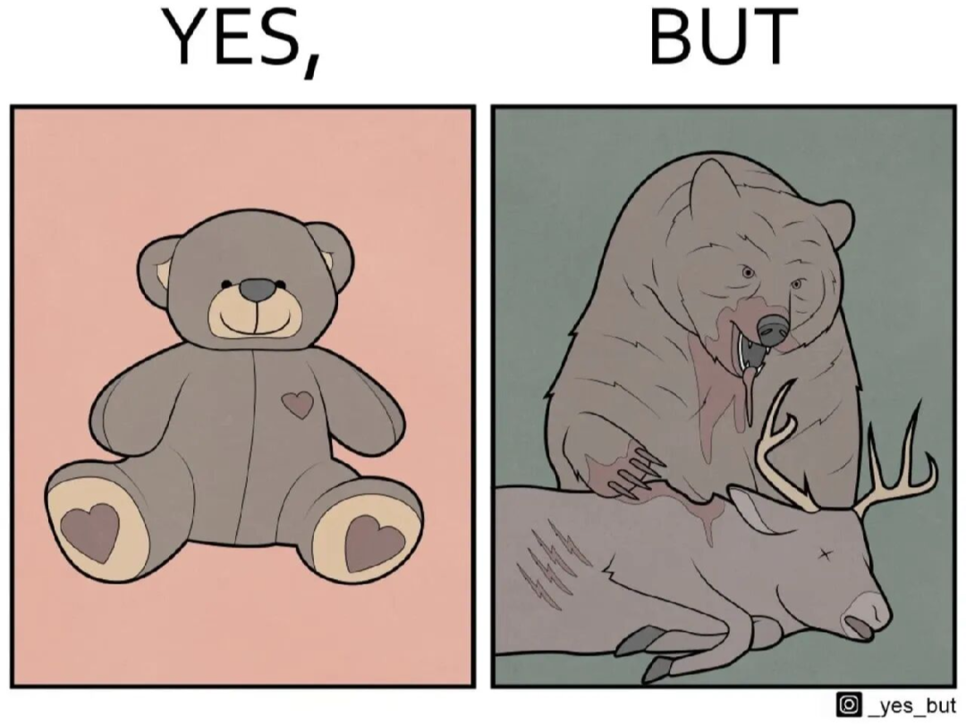 毛绒小熊与现实凶猛棕熊的对比漫画