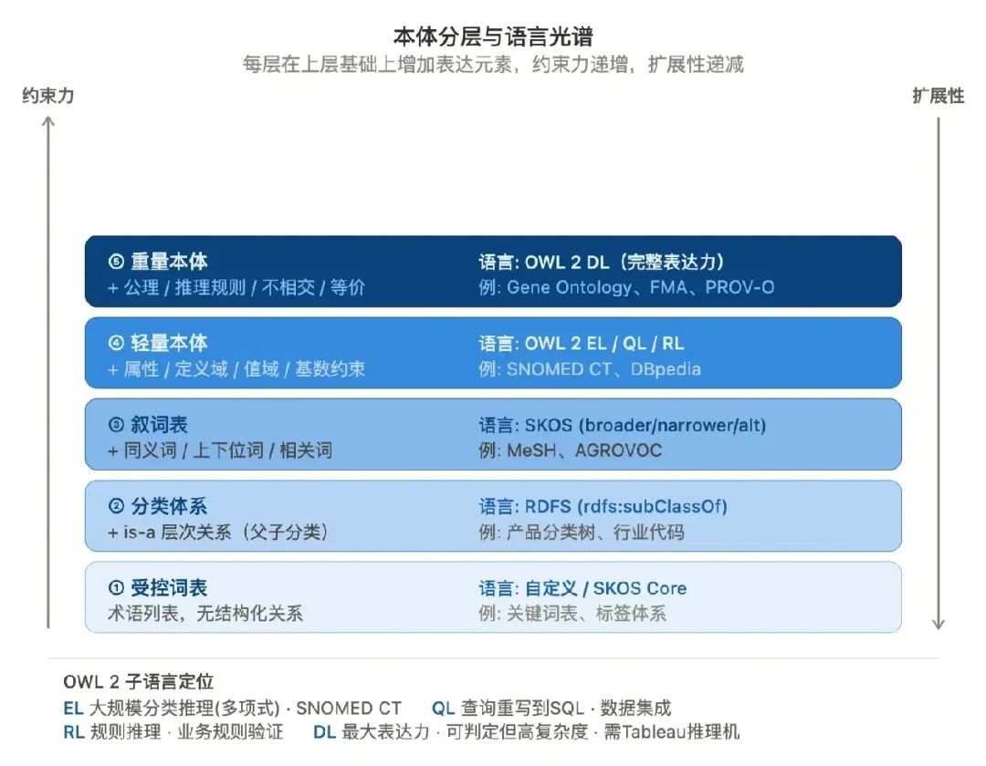 本体分层与语言光谱