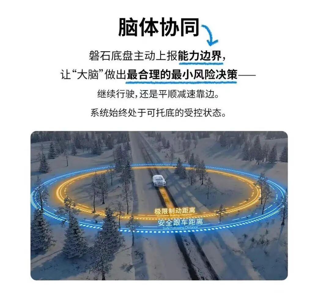 脑体协同与极限制动/安全跟车距离