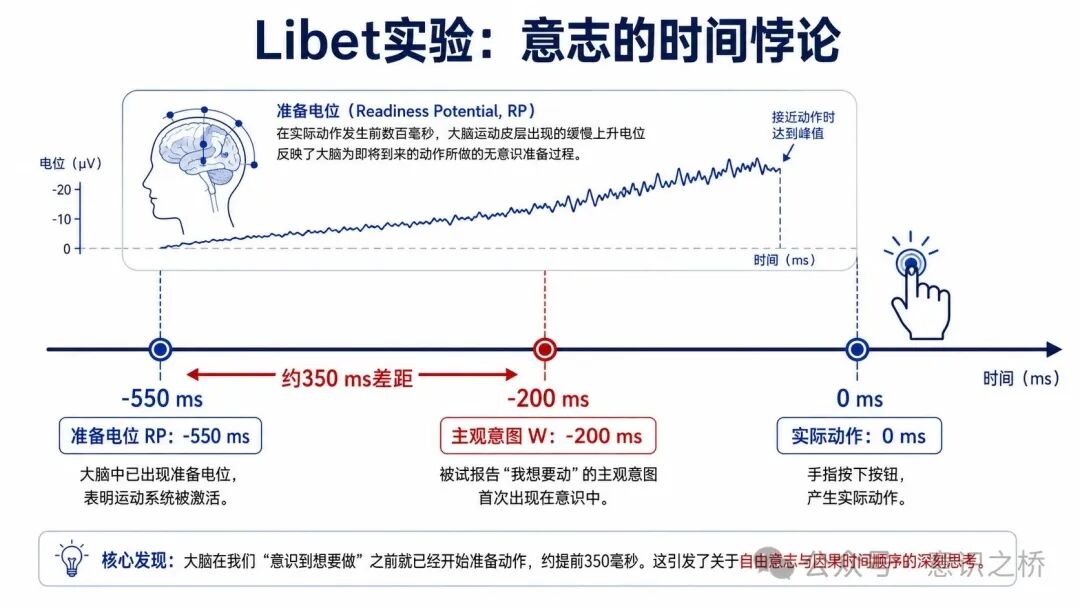 Libet实验信息图，展示准备电位、主观意图与动作的时间差，引发对自由意志的再思考