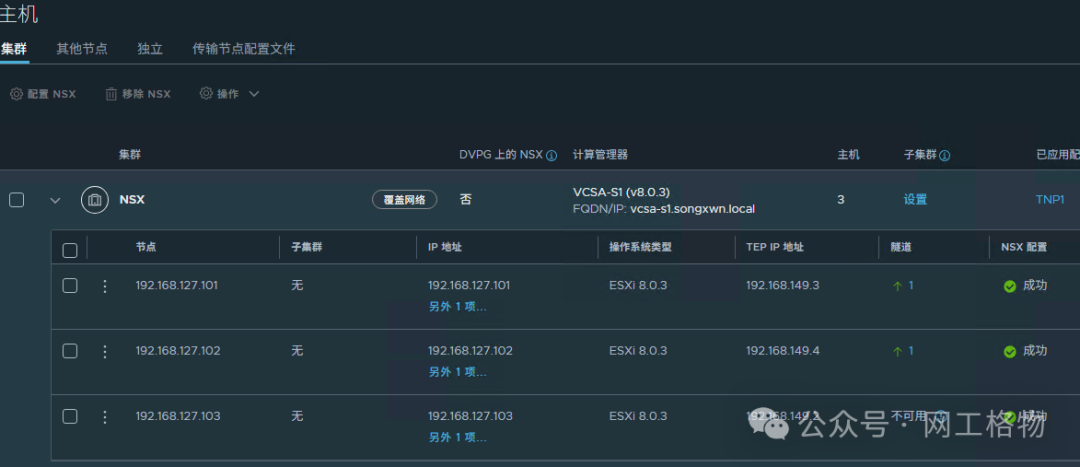 主机隧道端点状态详情