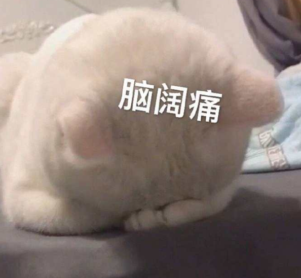 脑阔痛——纠结压缩软件选择的表情包
