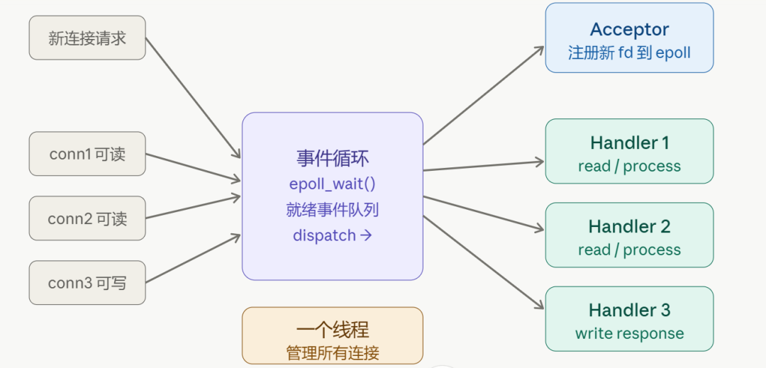 事件循环处理流程架构图：左侧输入就绪事件，中心epoll_wait分发，右侧Handler处理读写，底部一个线程管理所有连接