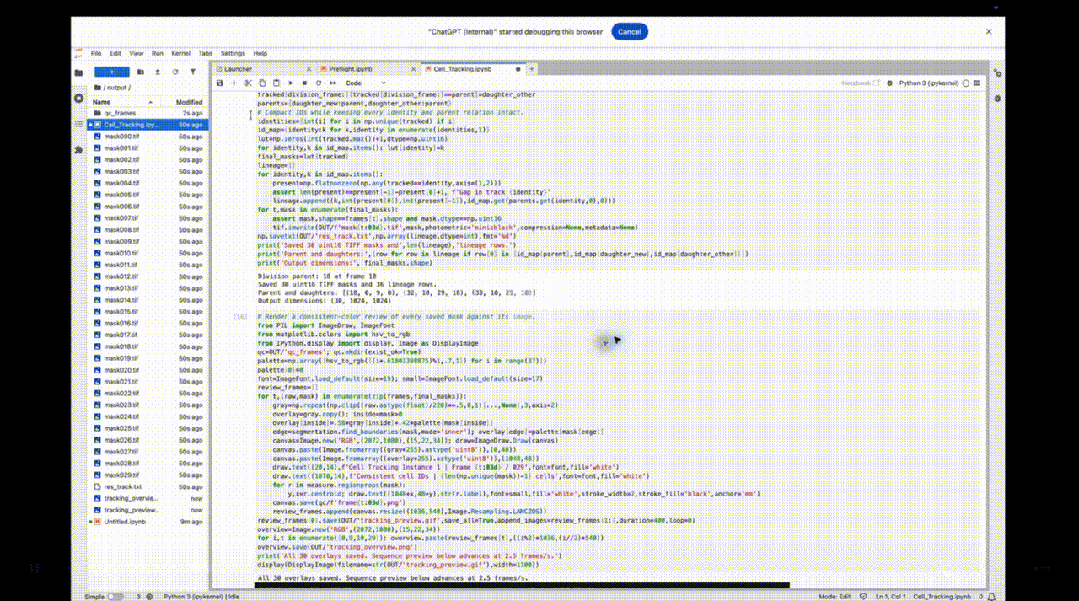 GPT-6 Astra 追踪细胞运动 Jupyter Notebook 界面