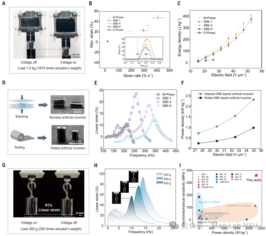 图2：基于SBE材料的人工肌肉的机电性能表现