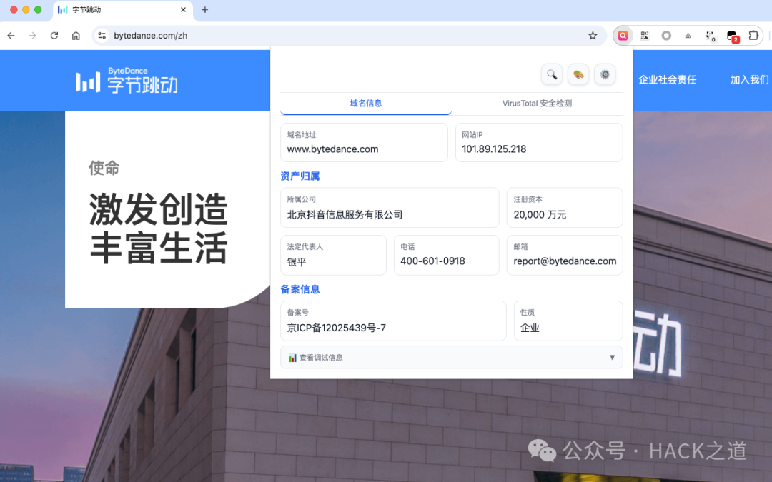 插件显示的字节跳动官网域名归属与备案信息截图