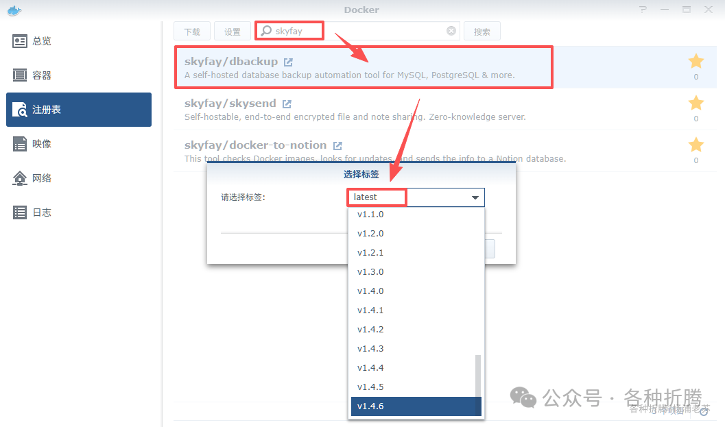 在 Docker 注册表中搜索 skyfay/dbackup 并选择 latest 版本
