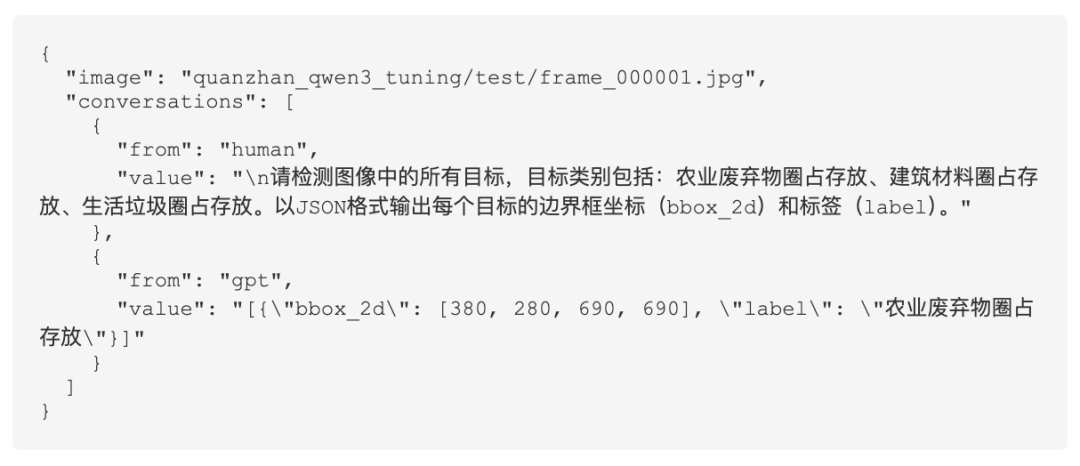 数据集格式JSON代码示例截图