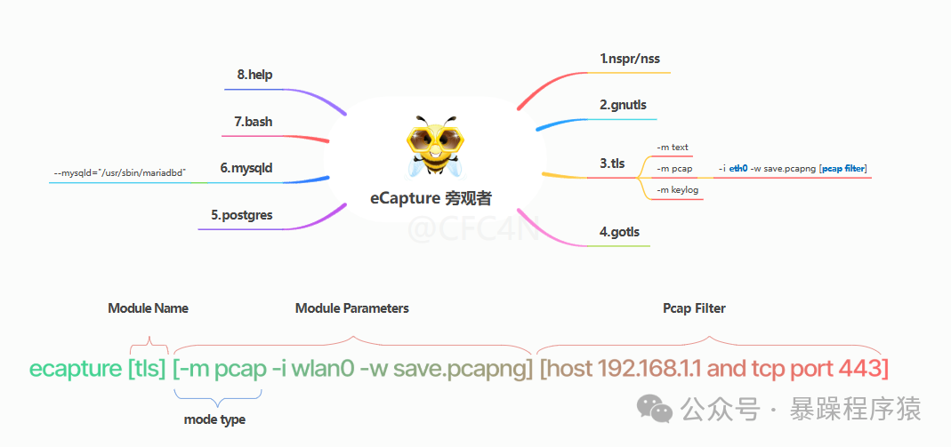 eCapture工作流程图