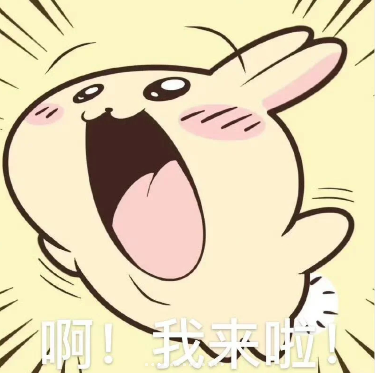 啊！我来啦！