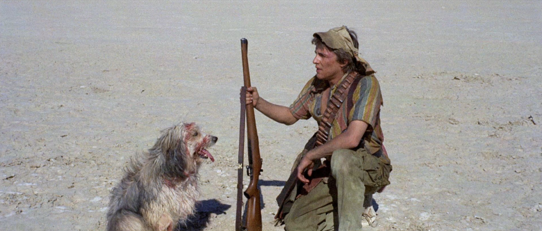 《少年与他的狗》电影剧照