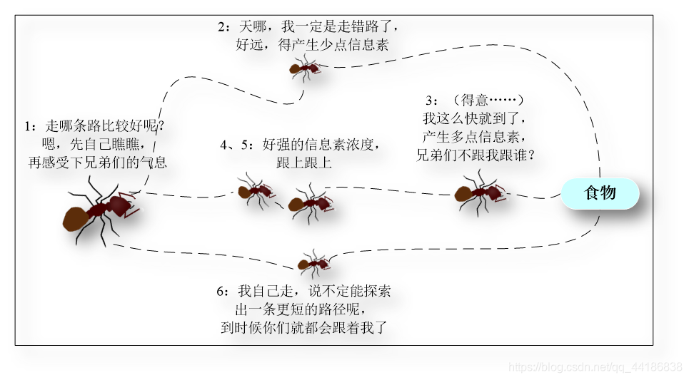 蚂蚁群体信息素导航与路径选择示意