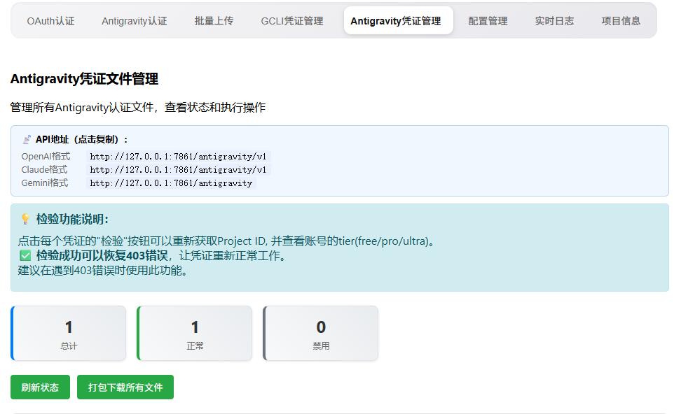 Antigravity 凭证文件管理界面与 API 地址