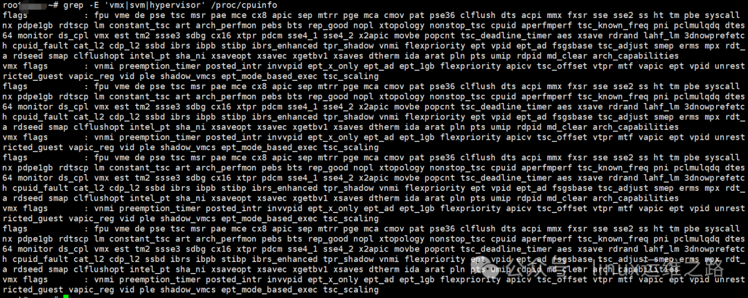 物理机CPU信息截图，显示flags包含vmx但无hypervisor