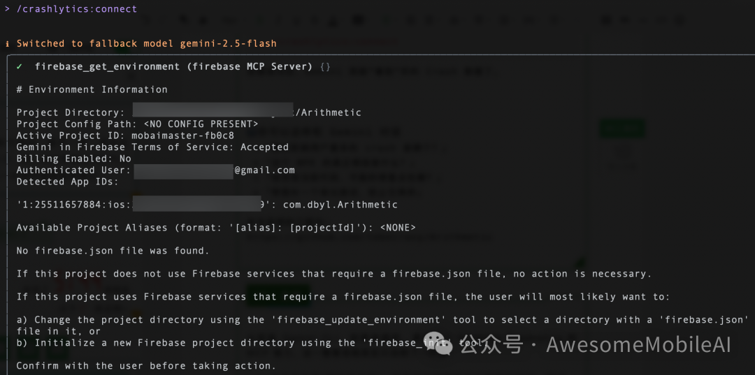 Firebase 环境配置信息终端截图