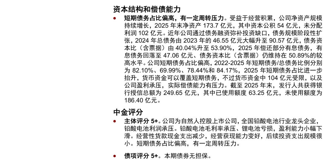 天能电池资本结构与评分依据