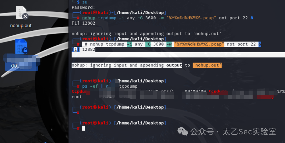 Kali Linux终端中运行tcpdump命令进行网络抓包