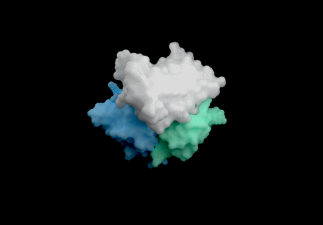 IsoDDE成功预测而AF3失败的动态分子结构图