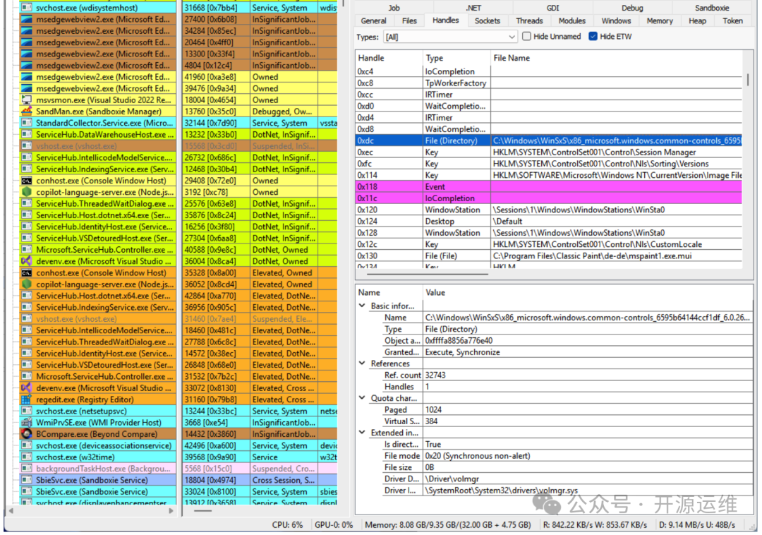 显示进程句柄与详细信息的调试工具界面