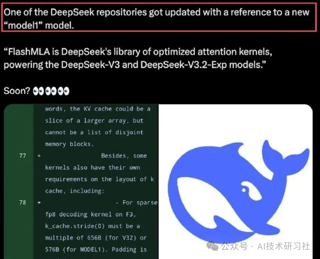 DeepSeek仓库更新引用Model1与相关代码约束