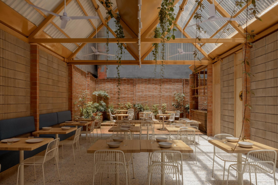 Plumbago餐厅内部砖墙与绿植