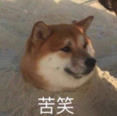 柴犬苦笑表情包