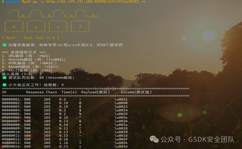 Ryzf Fuzz工具v1.0运行界面截图