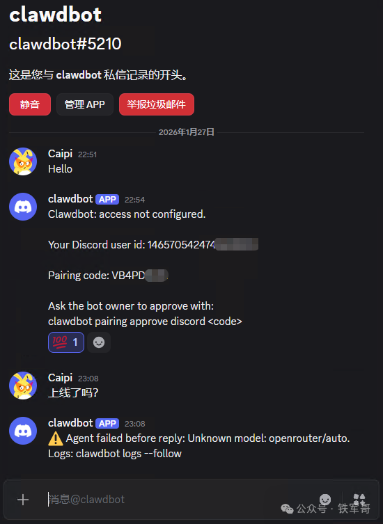 Discord私聊界面，机器人回复配对码