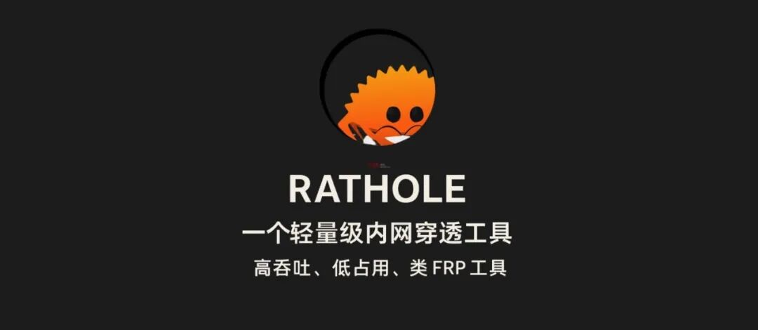 Rathole 轻量级内网穿透工具介绍