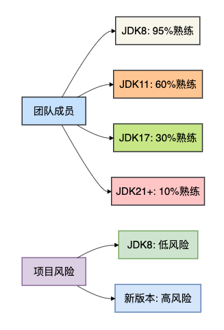 团队技能与项目风险关联图：JDK8熟练度高、风险低；新版本熟练度低、风险高