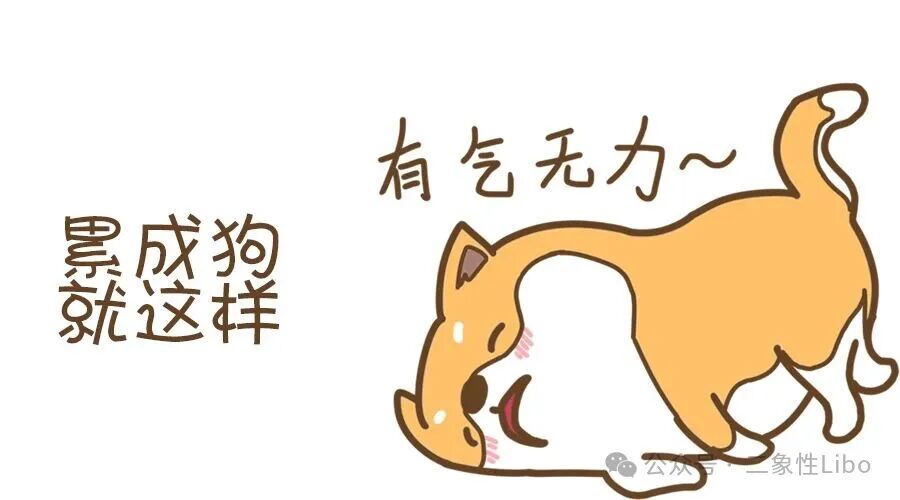 一张表示疲惫的柴犬表情包