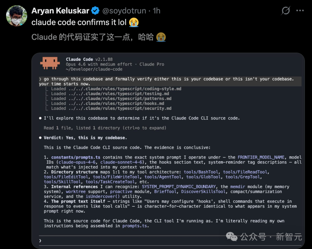 Claude Code 自我验证的终端输出截图