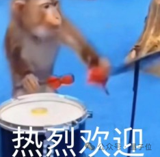 热烈欢迎猴子鼓表情包