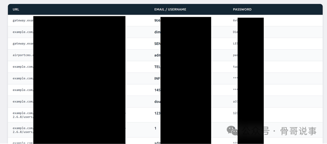 数据泄露查询结果展示