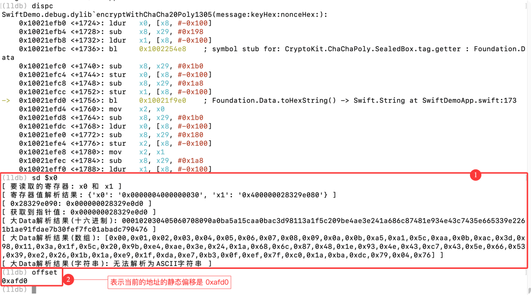 在特定偏移处下断点验证Data