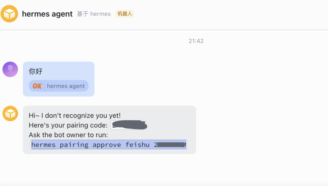 飞书聊天界面中的 Hermes 机器人配对消息